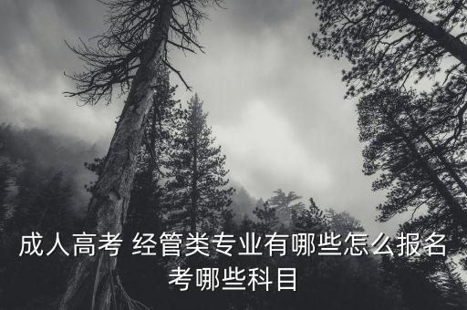 成人高考 經(jīng)管類專業(yè)有哪些怎么報名考哪些科目