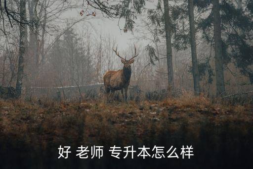 好 老師 專升本怎么樣