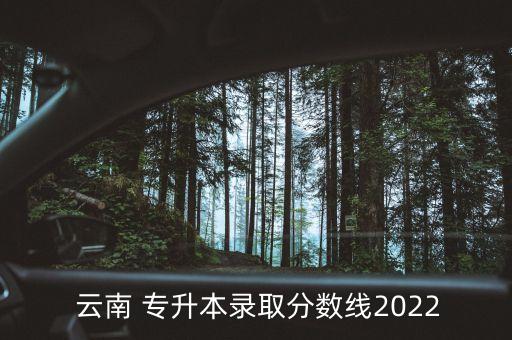  云南 專升本錄取分?jǐn)?shù)線2022