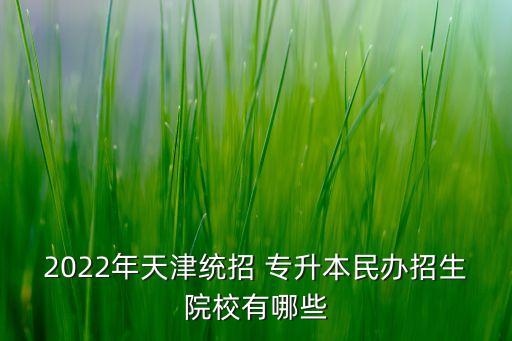 2022年天津統(tǒng)招 專(zhuān)升本民辦招生院校有哪些