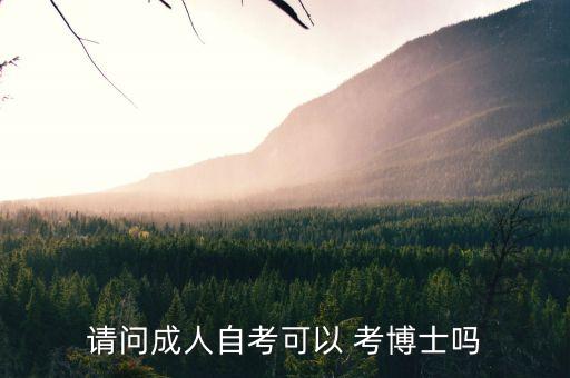 請(qǐng)問成人自考可以 考博士嗎