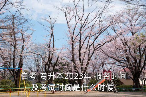  自考 專升本2023年 報名時間及考試時間是什么時候