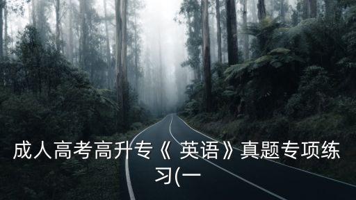 成人高考高升?！?英語》真題專項練習(xí)(一