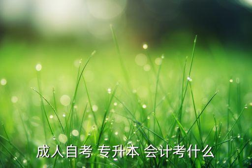 成人自考 專升本 會計(jì)考什么