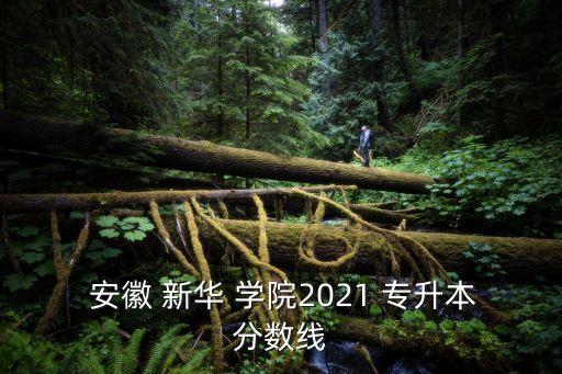  安徽 新華 學(xué)院2021 專升本分?jǐn)?shù)線