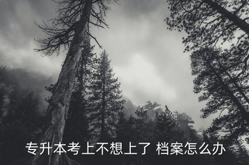  專(zhuān)升本考上不想上了 檔案怎么辦