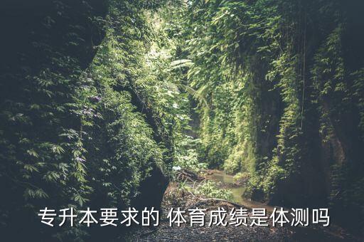  專升本要求的 體育成績(jī)是體測(cè)嗎