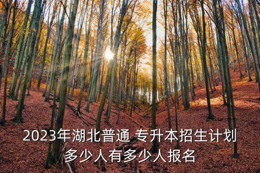 2023年湖北普通 專升本招生計劃多少人有多少人報名