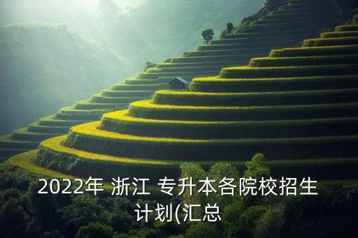 2022年 浙江 專升本各院校招生計劃(匯總