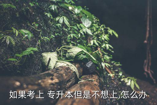 如果考上 專升本但是不想上,怎么辦