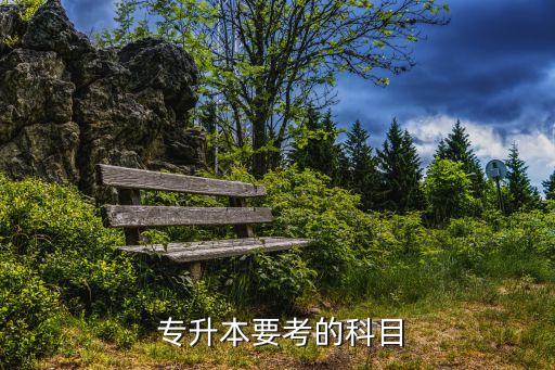 山東古代漢語(yǔ)專升本,古代漢語(yǔ)專升本期末考試試卷