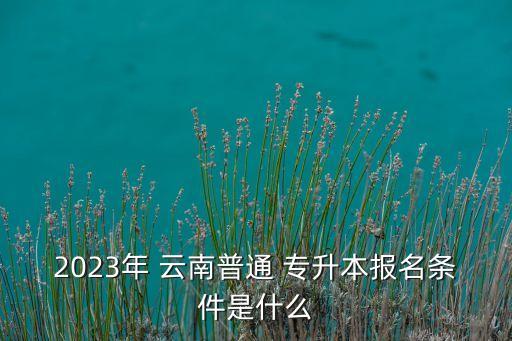 2023年 云南普通 專升本報(bào)名條件是什么