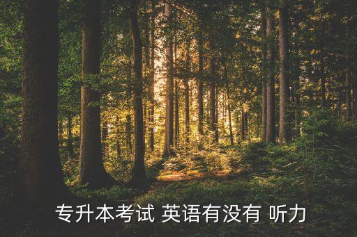 哪個(gè)專升本不考英語聽力,河南專升本考英語聽力嗎