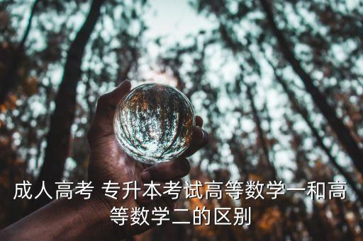 成人高考 專升本考試高等數(shù)學一和高等數(shù)學二的區(qū)別