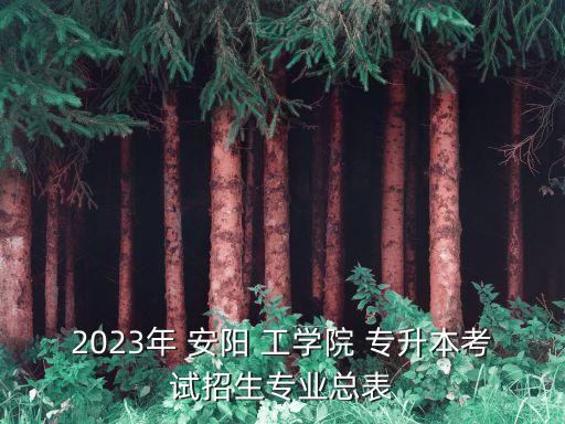 2023年 安陽(yáng) 工學(xué)院 專升本考試招生專業(yè)總表