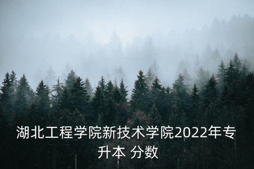 湖北工程學(xué)院新技術(shù)學(xué)院2022年專 升本 分?jǐn)?shù)