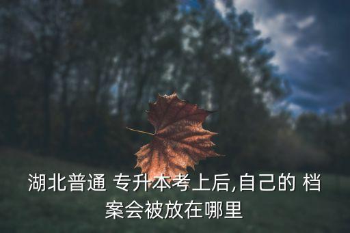 湖北普通 專升本考上后,自己的 檔案會被放在哪里