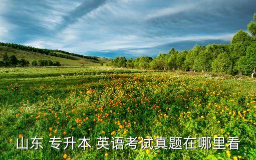 2016年專升本函授英語(yǔ)試卷,2022年專升本專業(yè)英語(yǔ)試卷