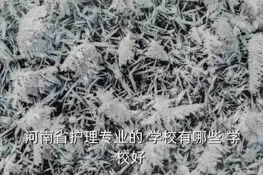  河南省護理專業(yè)的 學(xué)校有哪些 學(xué)校好