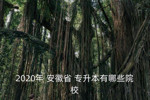 2020年 安徽省 專升本有哪些院校