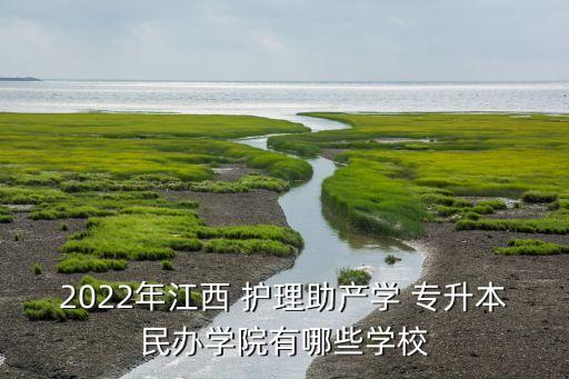 2022年江西 護理助產(chǎn)學 專升本民辦學院有哪些學校