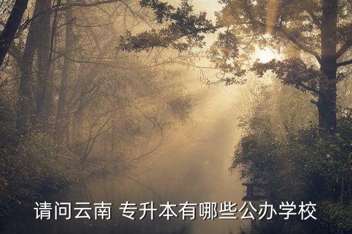 請(qǐng)問云南 專升本有哪些公辦學(xué)校