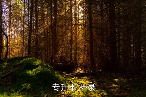  專升本 補(bǔ)錄