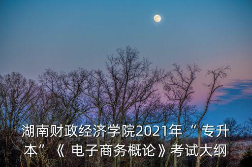 湖南財(cái)政經(jīng)濟(jì)學(xué)院2021年“ 專升本”《 電子商務(wù)概論》考試大綱