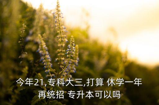 專升本新生休學(xué),?？菩輰W(xué)一年還能專升本嗎