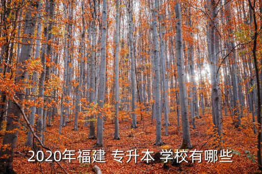 2020年福建 專升本 學(xué)校有哪些