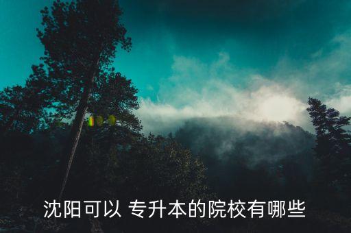 沈陽(yáng)可以 專升本的院校有哪些