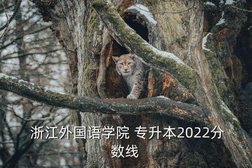  浙江外國語學(xué)院 專升本2022分?jǐn)?shù)線