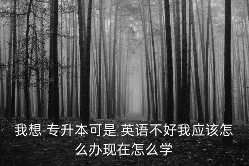 我想 專升本可是 英語不好我應(yīng)該怎么辦現(xiàn)在怎么學(xué)