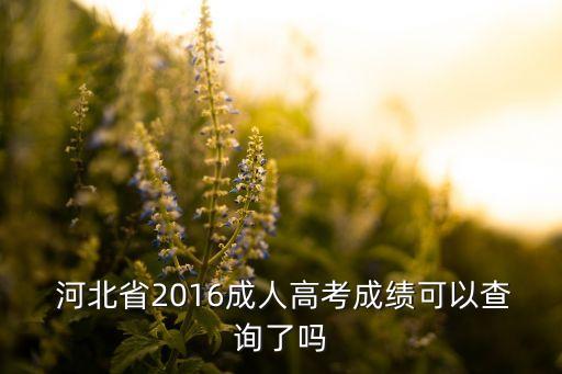  河北省2016成人高考成績可以查詢了嗎