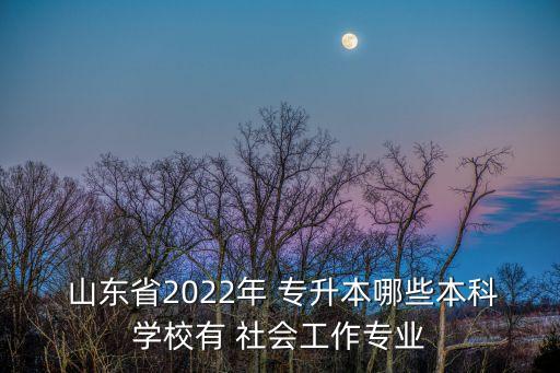  山東省2022年 專(zhuān)升本哪些本科學(xué)校有 社會(huì)工作專(zhuān)業(yè)