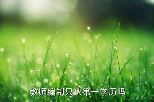 專(zhuān)升本教師招聘考試,成人專(zhuān)升本可以參加教師招聘考試嗎