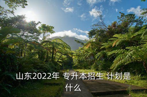 山東2022年 專升本招生 計(jì)劃是什么