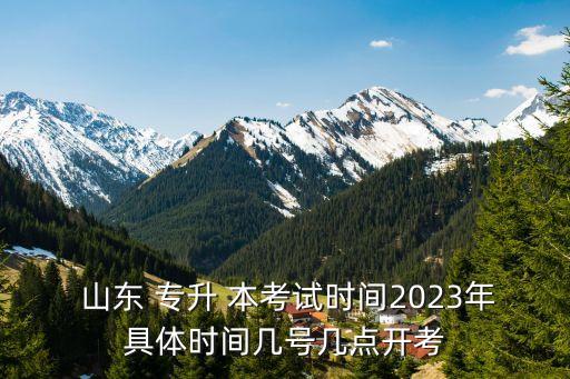 藝術(shù)山東專升本考什么時候,2022年山東專升本什么時候考的