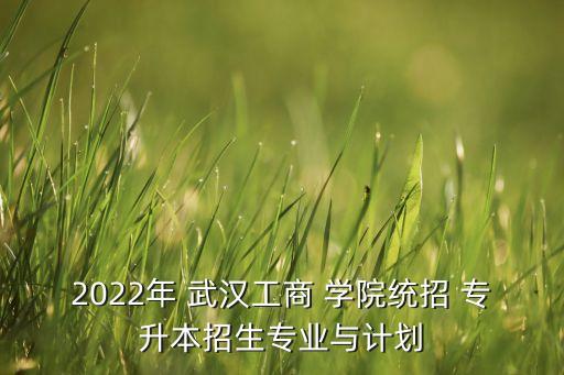 2022年 武漢工商 學(xué)院統(tǒng)招 專升本招生專業(yè)與計劃