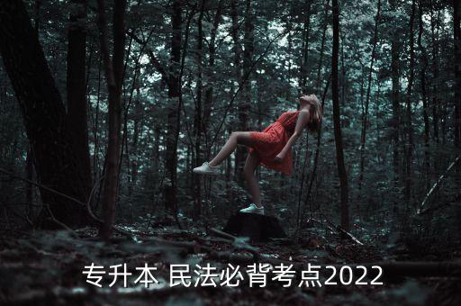  專(zhuān)升本 民法必背考點(diǎn)2022