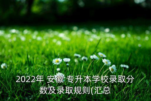 2022年 安徽 專升本學校錄取分數(shù)及錄取規(guī)則(匯總