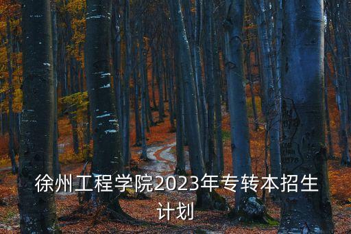  徐州工程學(xué)院2023年專轉(zhuǎn)本招生計(jì)劃