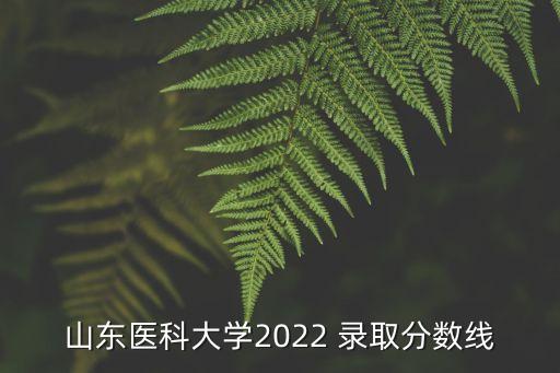 山東醫(yī)科大學2022 錄取分數(shù)線