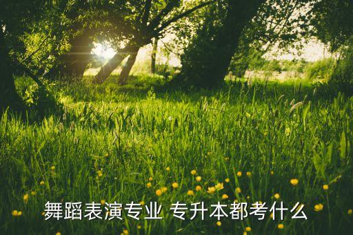 舞蹈表演專業(yè) 專升本都考什么