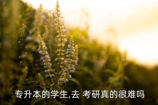 專(zhuān)升本考研難怎么考