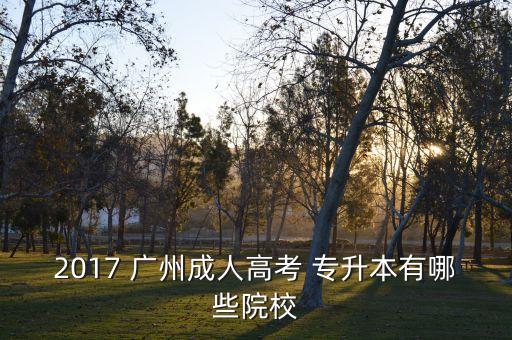 2017 廣州成人高考 專升本有哪些院校