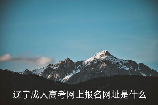  遼寧成人高考網(wǎng)上報名網(wǎng)址是什么