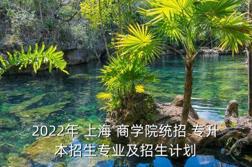 2022年 上海 商學(xué)院統(tǒng)招 專升本招生專業(yè)及招生計(jì)劃