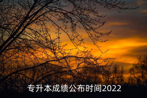  專升本成績公布時間2022