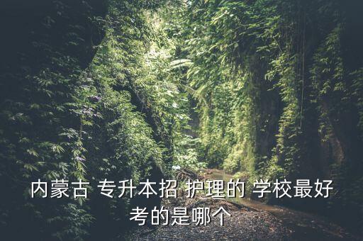 招收專升本護(hù)理的學(xué)校有哪些專業(yè)嗎,河南省招收護(hù)理專升本的學(xué)校